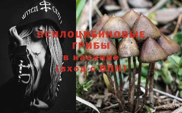 крисы Волосово