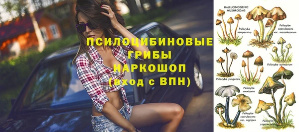 ПСИЛОЦИБИНОВЫЕ ГРИБЫ Богородск