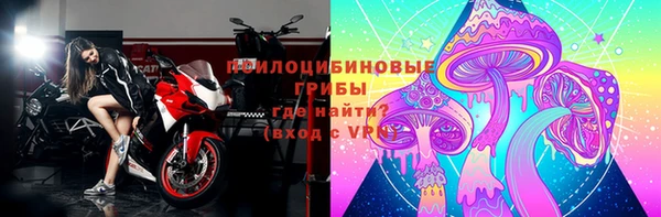 сатива Богородицк
