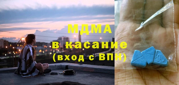 шишки Дмитровск