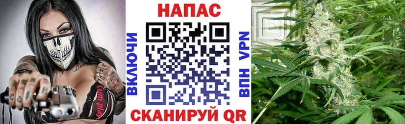 МАРИХУАНА Ganja Ершов